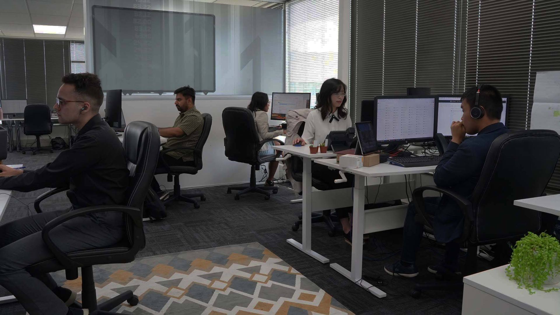 Website Design Auckland team working on web design projects in Auckland